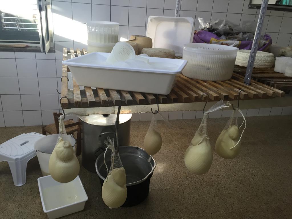 Hotel Casa Nostra Ceraso Zewnętrze zdjęcie